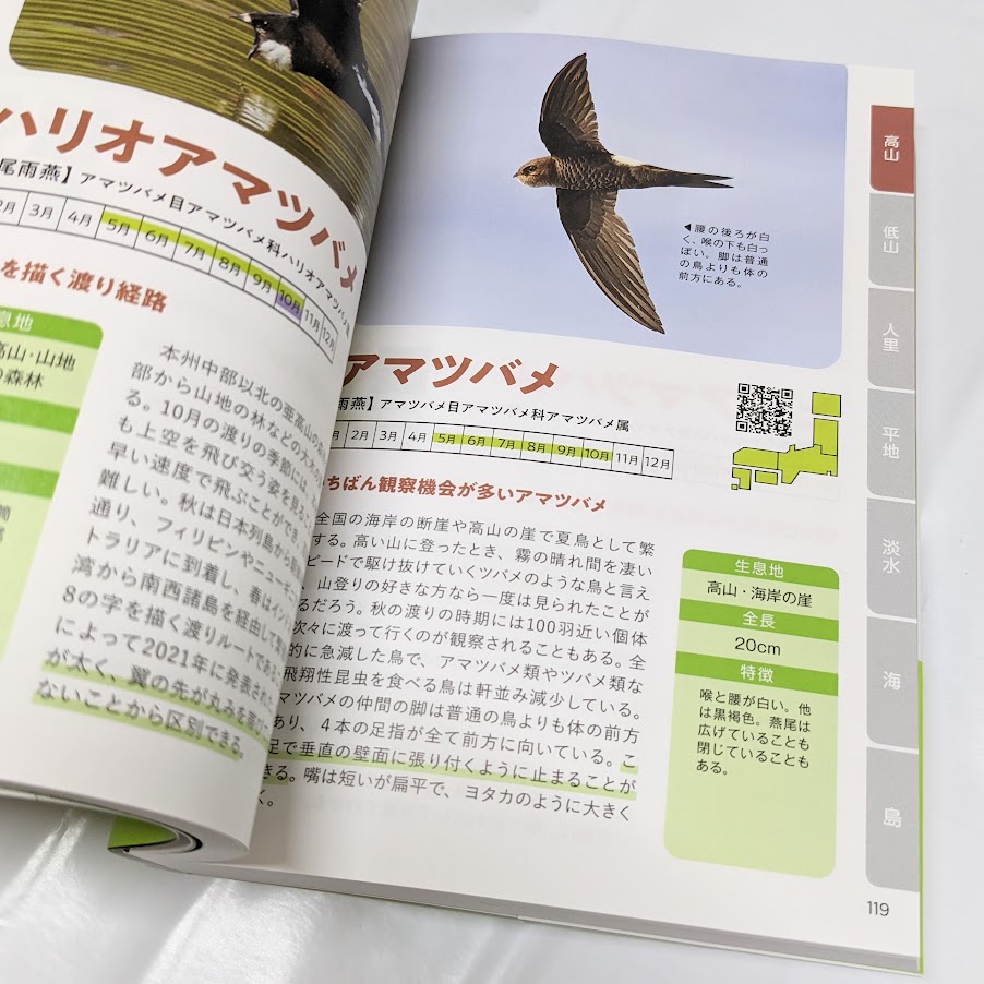 野鳥図鑑350　ページ